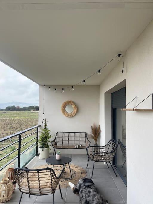 Appartement Vue Vigne แปร์ปินญอง ภายนอก รูปภาพ