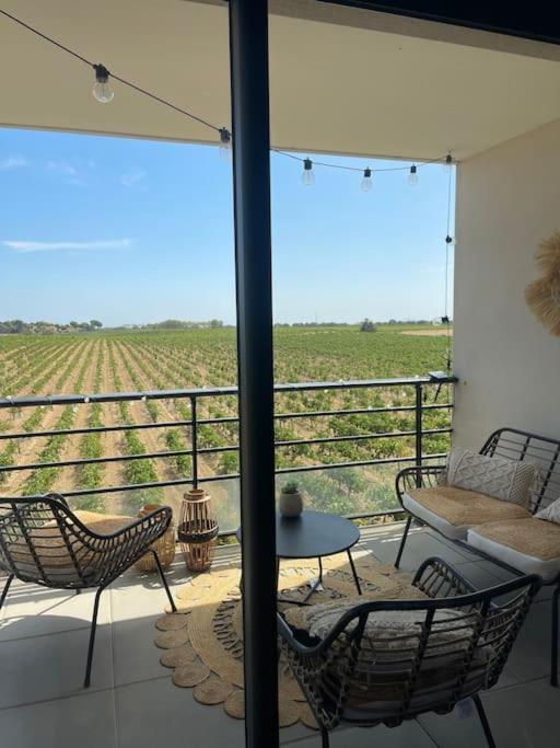 Appartement Vue Vigne แปร์ปินญอง ภายนอก รูปภาพ